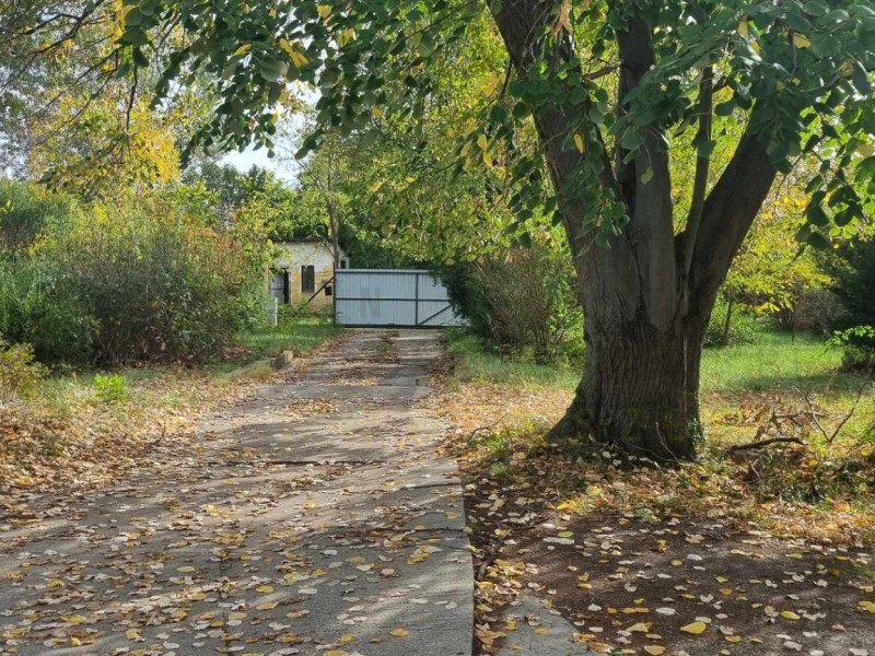 Szeged Kiadó Üzlethelyiség