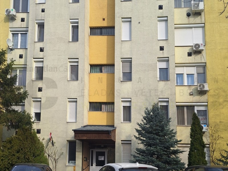 Szeged Eladó Lakás Sólyom utca