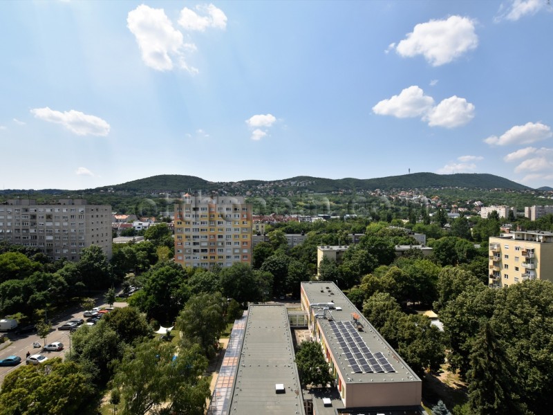 Budapest III. kerület Eladó Lakás Szőlő utca
