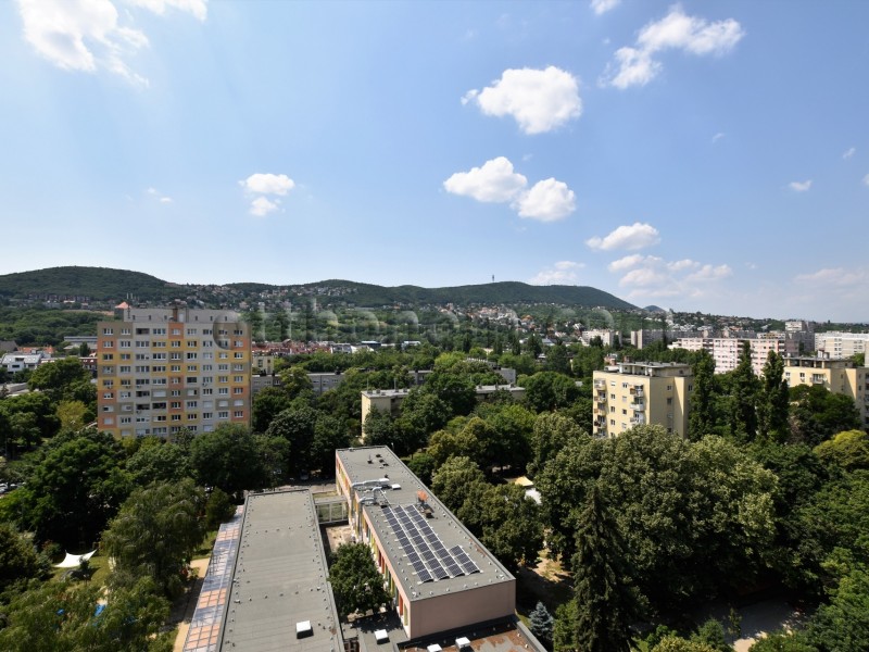 Budapest III. kerület Eladó Lakás Szőlő utca