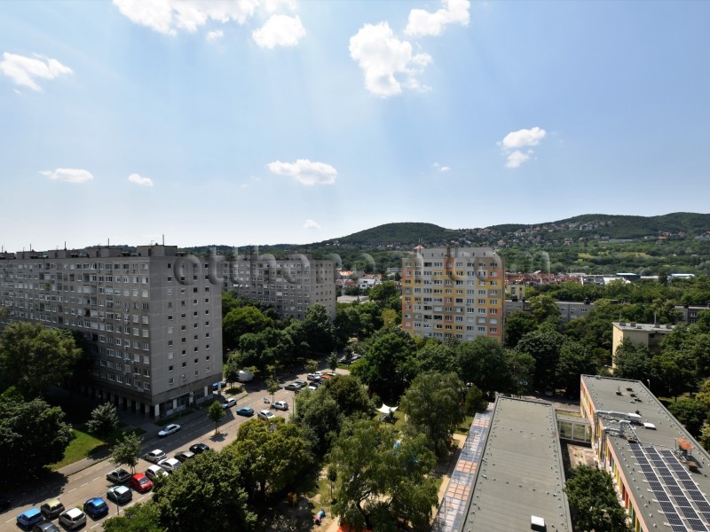 Budapest III. kerület Eladó Lakás Szőlő utca