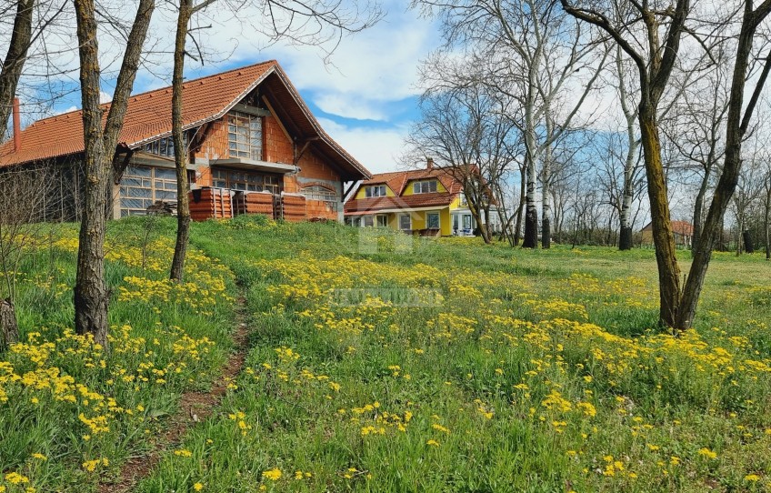 Kiskunmajsa Eladó Ház Kőkút dűlő tanya